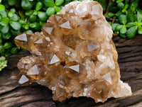 Natural XL Clear Smokey Citrine Quartz Cluster x 1 From Luena, Congo