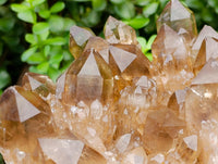 Natural XL Clear Smokey Citrine Quartz Cluster x 1 From Luena, Congo