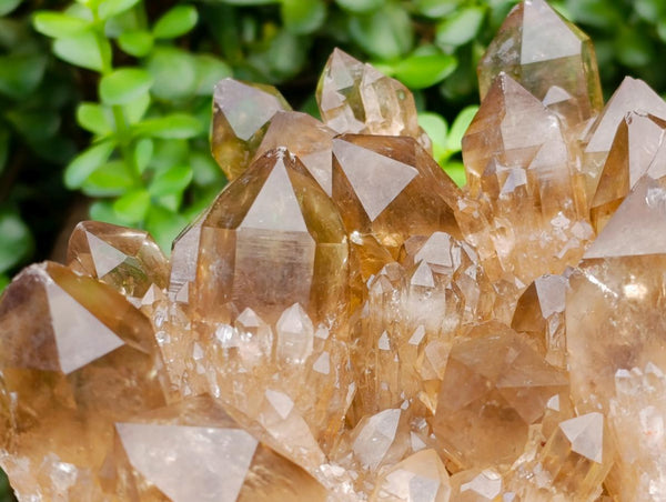 Natural XL Clear Smokey Citrine Quartz Cluster x 1 From Luena, Congo