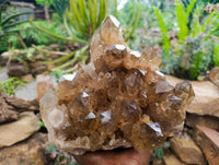 Natural XL Clear Smokey Citrine Quartz Cluster x 1 From Luena, Congo