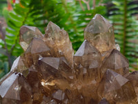 Natural XL Clear Smokey Citrine Quartz Cluster x 1 From Luena, Congo