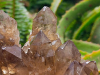 Natural XL Clear Smokey Citrine Quartz Cluster x 1 From Luena, Congo