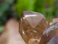 Natural XL Clear Smokey Citrine Quartz Cluster x 1 From Luena, Congo