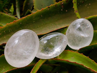 Polished Rock Crystal Palm Stones x 12 From Amoron’i Mania Madagascar