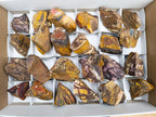 Natural Nguni Jasper Cobbed Specimens x 24 From Northern Cape, South Africa