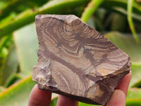 Natural Nguni Jasper Cobbed Specimens x 24 From Northern Cape, South Africa