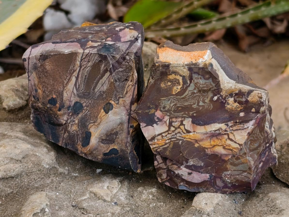 Natural Nguni Jasper Cobbed Specimens x 24 From Northern Cape, South Africa