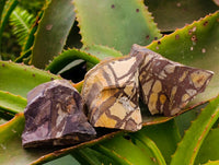 Natural Nguni Jasper Cobbed Specimens x 24 From Northern Cape, South Africa