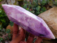 Polished Lepidolite Double Terminated Crystals x 6 From Zimbabwe