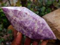 Polished Lepidolite Double Terminated Crystals x 6 From Zimbabwe