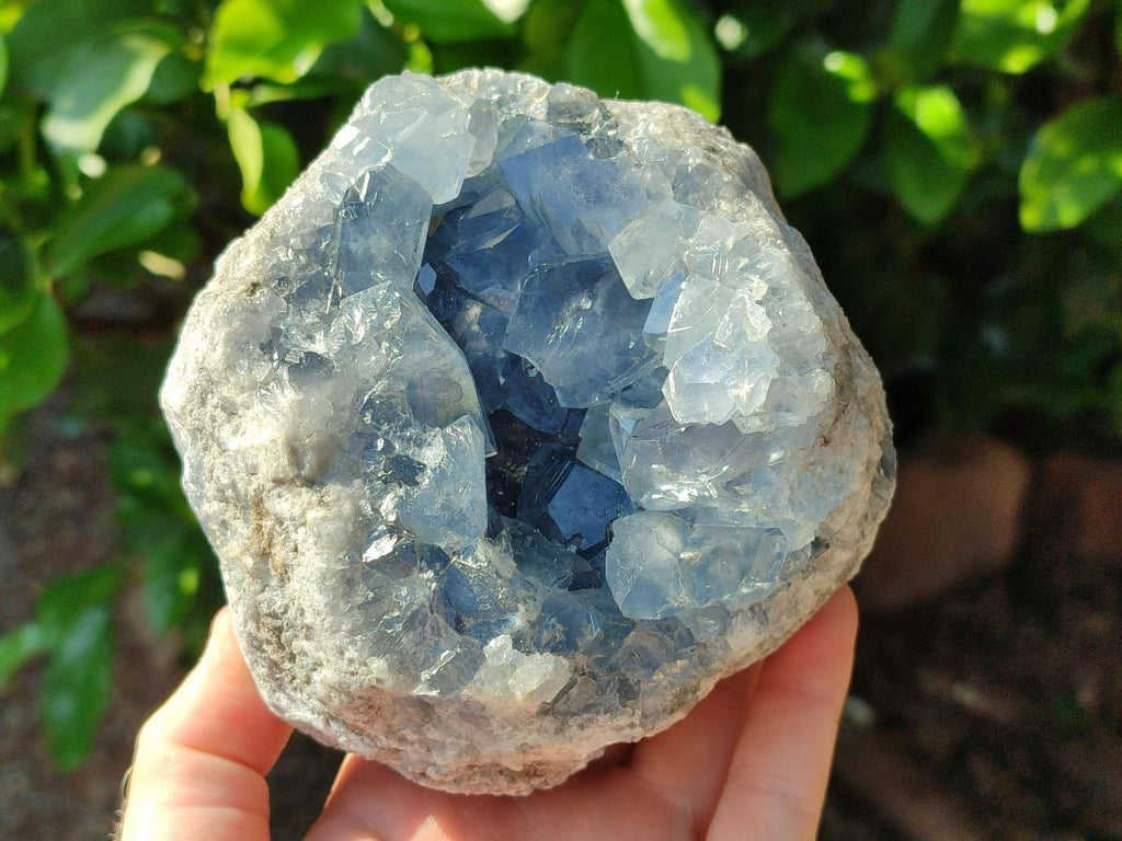 Natural Blue Celestite Specimen x 1 From Sakoany, Madagascar - Toprock Gemstones and Minerals 