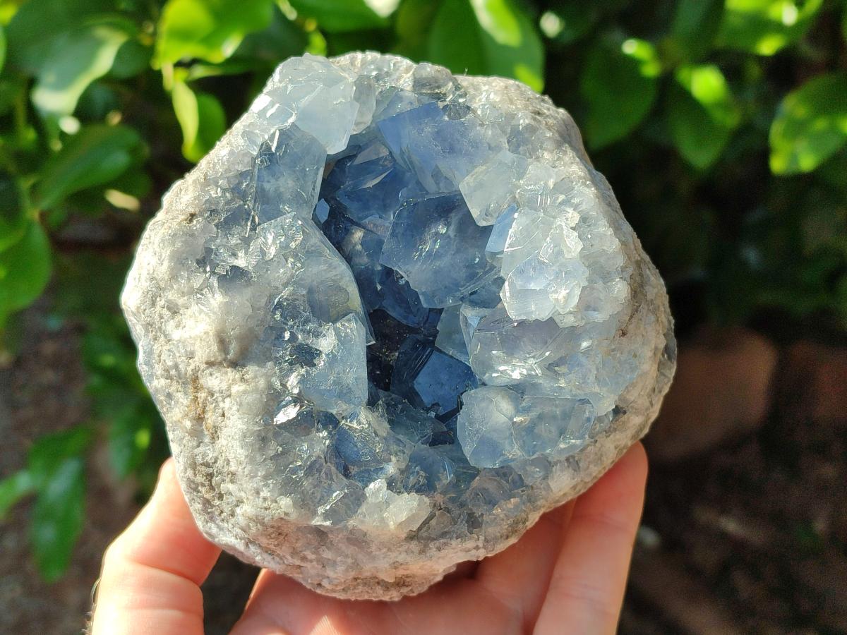 Natural Blue Celestite Specimen x 1 From Sakoany, Madagascar - Toprock Gemstones and Minerals 