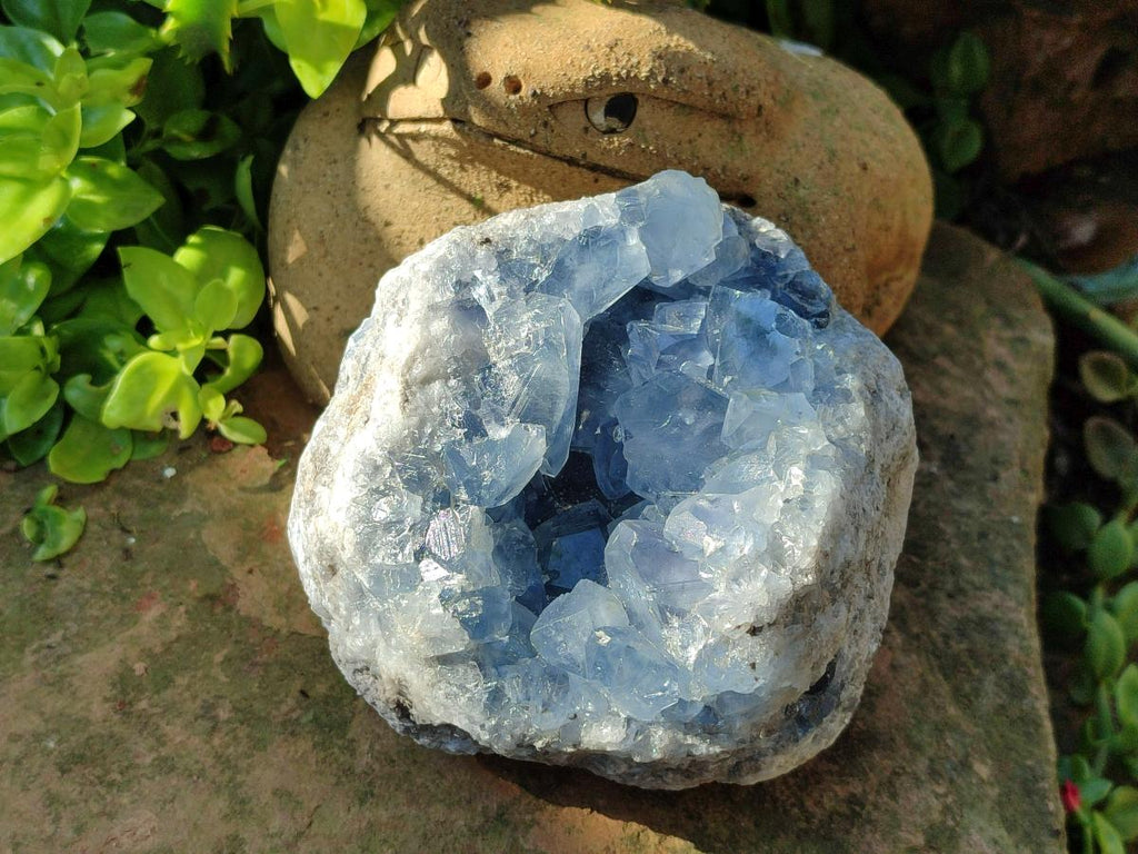 Natural Blue Celestite Specimen x 1 From Sakoany, Madagascar - Toprock Gemstones and Minerals 