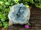 Natural Blue Celestite Specimen x 1 From Sakoany, Madagascar - Toprock Gemstones and Minerals 