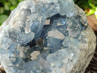 Natural Blue Celestite Specimen x 1 From Sakoany, Madagascar