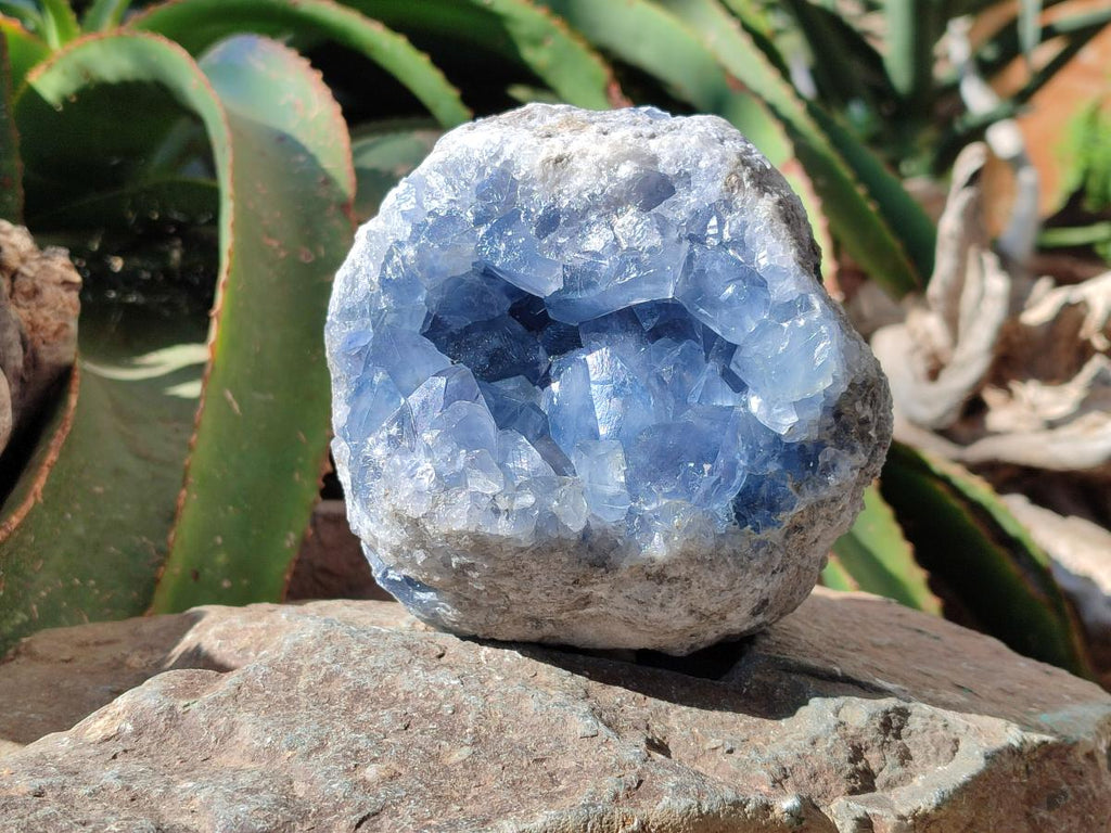 Natural Blue Celestite Specimen x 1 From Sakoany, Madagascar - Toprock Gemstones and Minerals 