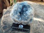 Natural Blue Celestite Specimen x 1 From Sakoany, Madagascar - Toprock Gemstones and Minerals 
