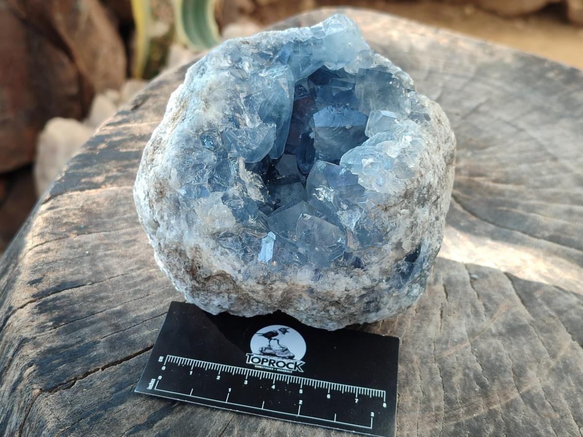 Natural Blue Celestite Specimen x 1 From Sakoany, Madagascar - Toprock Gemstones and Minerals 