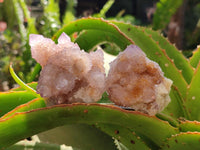 Natural Amethyst and Ametrine Spirit Clusters x 12 From Boekenhouthoek, South Africa