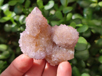 Natural Amethyst and Ametrine Spirit Clusters x 12 From Boekenhouthoek, South Africa