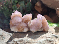 Natural Amethyst and Ametrine Spirit Clusters x 12 From Boekenhouthoek, South Africa