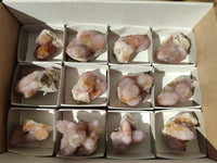 Natural Amethyst and Ametrine Spirit Clusters x 12 From Boekenhouthoek, South Africa