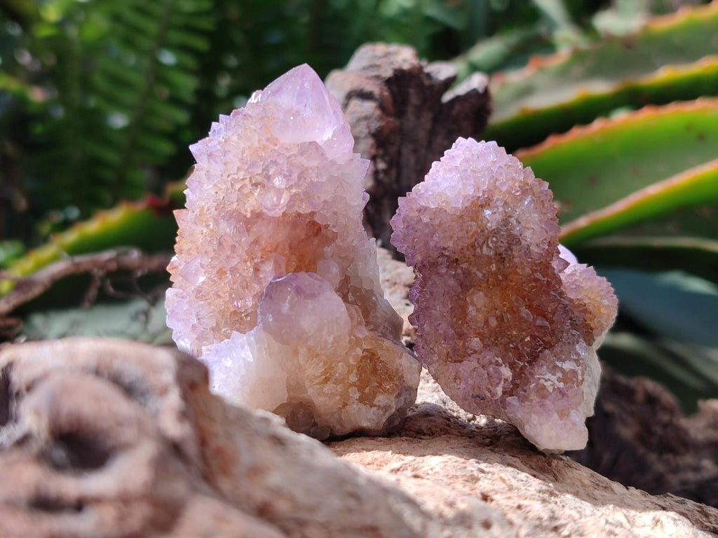 Natural Amethyst and Ametrine Spirit Clusters x 12 From Boekenhouthoek, South Africa - Toprock Gemstones and Minerals 