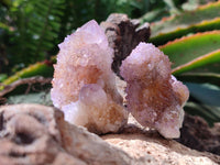 Natural Amethyst and Ametrine Spirit Clusters x 12 From Boekenhouthoek, South Africa