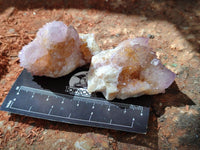 Natural Amethyst and Ametrine Spirit Clusters x 12 From Boekenhouthoek, South Africa