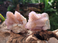 Natural Amethyst and Ametrine Spirit Clusters x 12 From Boekenhouthoek, South Africa