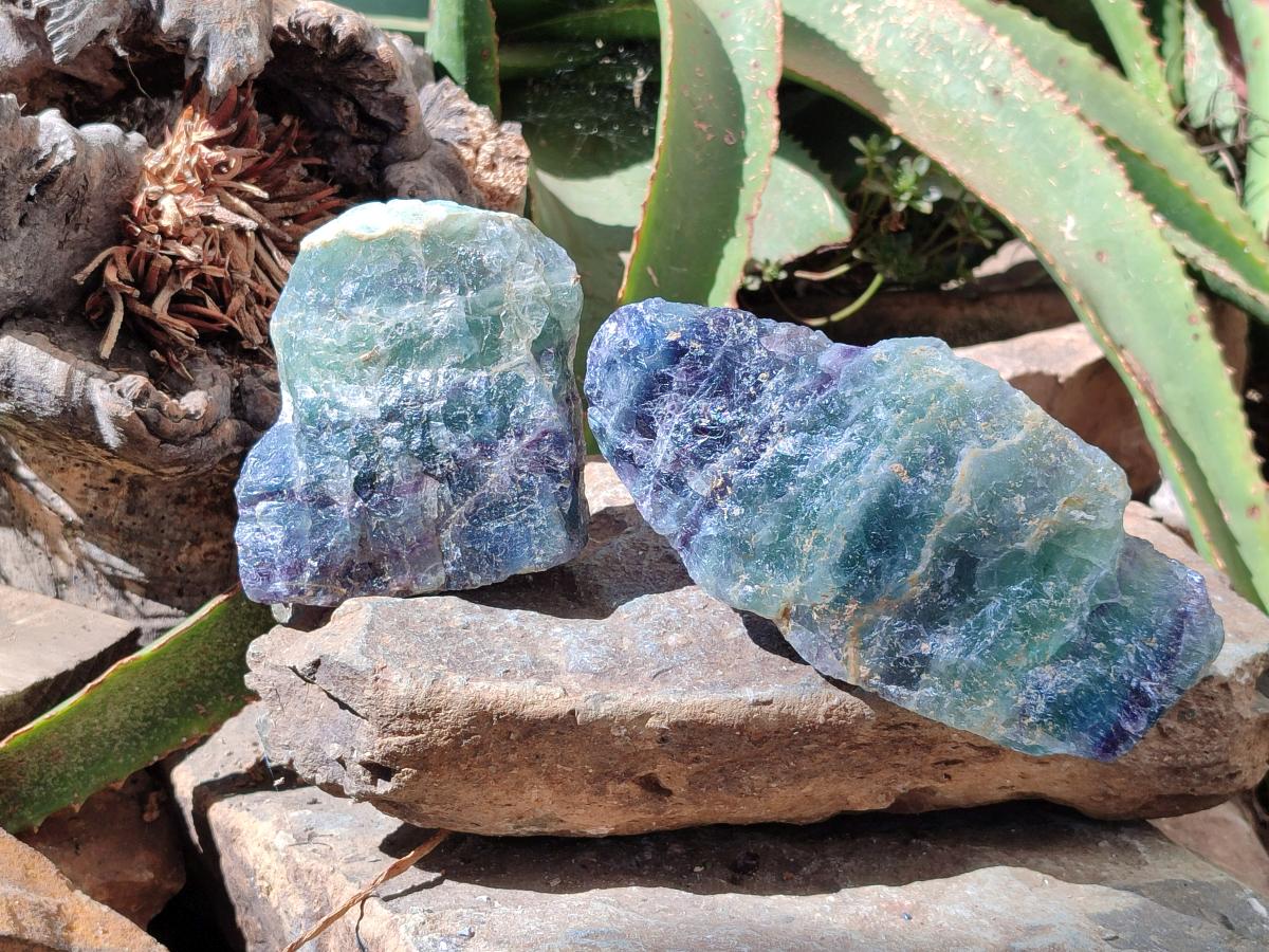 Natural Watermelon Fluorite Cobbed Specimens x 4 From Uis, Namibia
