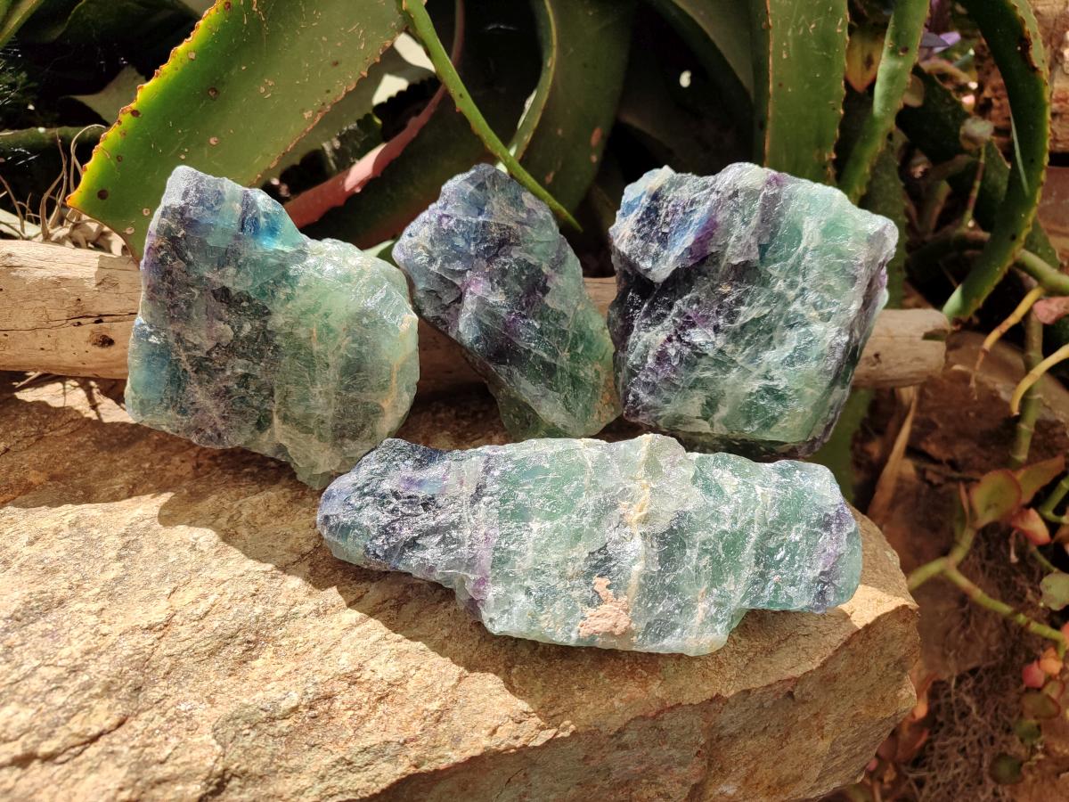 Natural Watermelon Fluorite Cobbed Specimens x 4 From Uis, Namibia