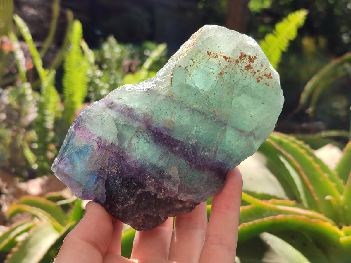Natural Watermelon Fluorite Cobbed Specimens x 4 From Uis, Namibia