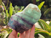 Natural Watermelon Fluorite Cobbed Specimens x 4 From Uis, Namibia