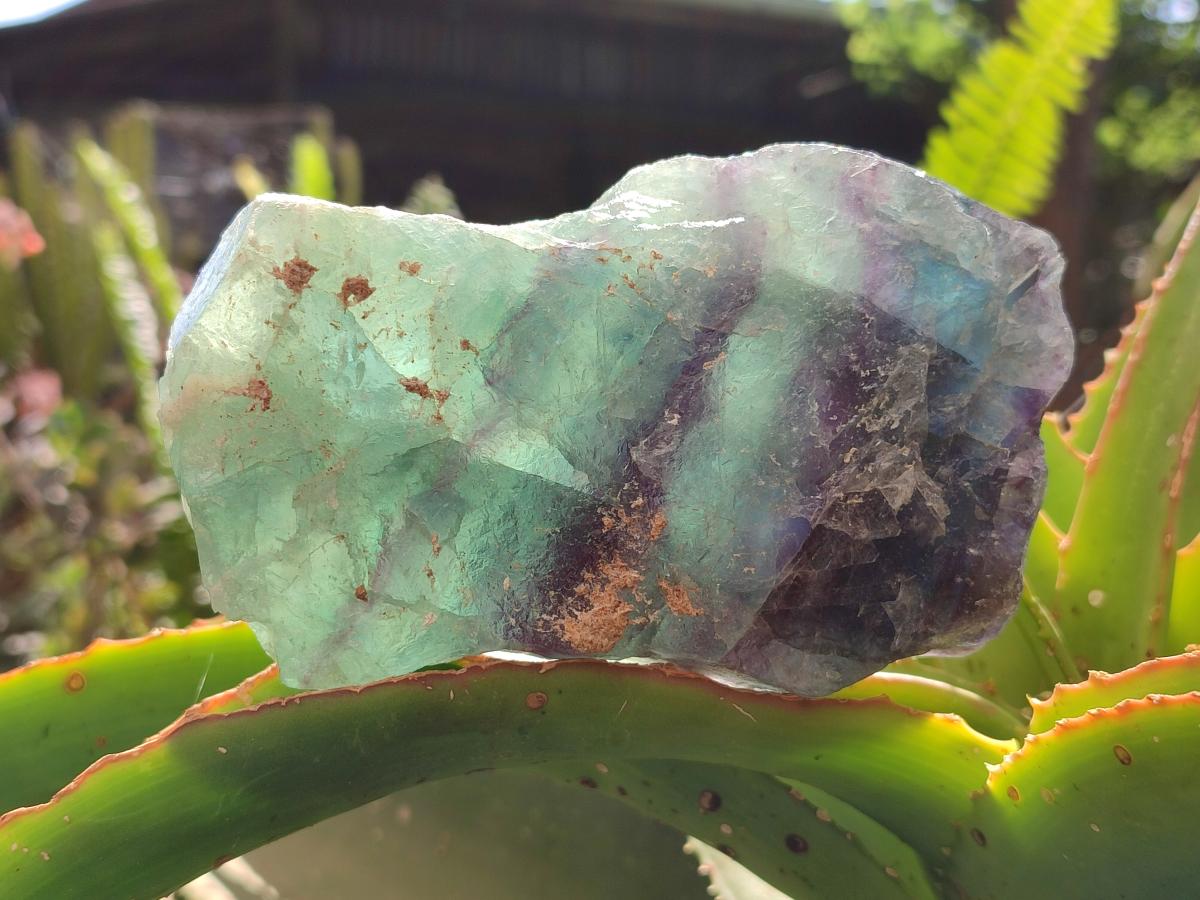 Natural Watermelon Fluorite Cobbed Specimens x 4 From Uis, Namibia