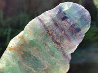 Natural Watermelon Fluorite Cobbed Specimens x 4 From Uis, Namibia