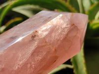 Polished Double Terminated Rose Quartz Crystals x 2 From Madagascar