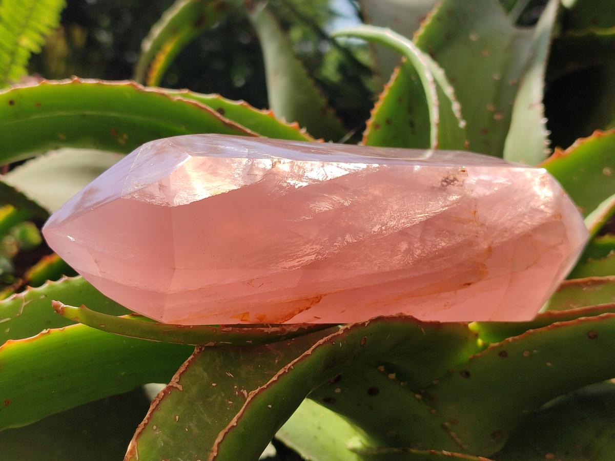 Polished Double Terminated Rose Quartz Crystals x 2 From Madagascar