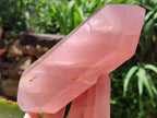 Polished Double Terminated Rose Quartz Crystals x 2 From Madagascar - Toprock Gemstones and Minerals 