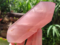 Polished Double Terminated Rose Quartz Crystals x 2 From Madagascar