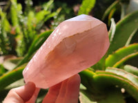 Polished Double Terminated Rose Quartz Crystals x 2 From Madagascar