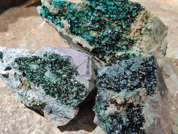 Natural Libethenite Crystals On Dolomite Matrix Specimens x 6 From Shituru, Congo