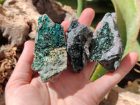 Natural Libethenite Crystals On Dolomite Matrix Specimens x 6 From Shituru, Congo