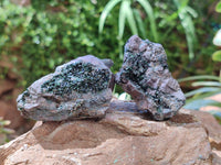 Natural Libethenite Crystals On Dolomite Matrix Specimens x 6 From Shituru, Congo