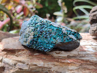 Natural Libethenite Crystals On Dolomite Matrix Specimens x 6 From Shituru, Congo