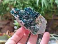 Natural Libethenite Crystals On Dolomite Matrix Specimens x 6 From Shituru, Congo