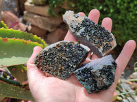 Natural Libethenite Crystals On Dolomite Matrix Specimens x 6 From Shituru, Congo