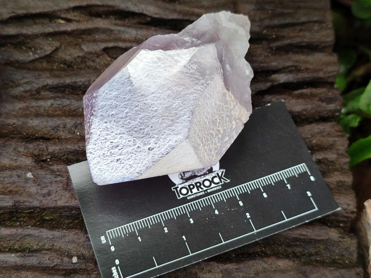 Natural Jacaranda Amethyst Single Crystals x 12 From Mumbwa, Zambia