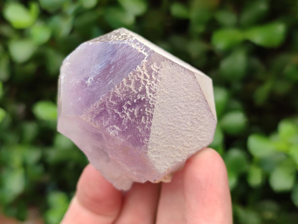 Natural Jacaranda Amethyst Single Crystals x 12 From Mumbwa, Zambia