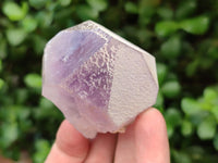 Natural Jacaranda Amethyst Single Crystals x 12 From Mumbwa, Zambia